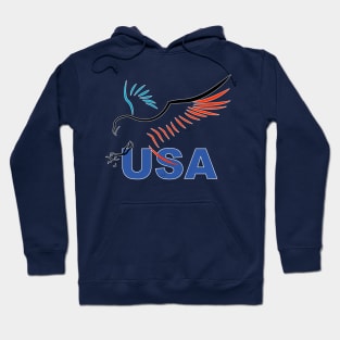 American Eagle Hoodie